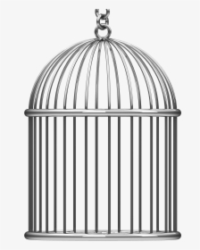 Cage Bird Png - Cage Png, Transparent Png, Free Download