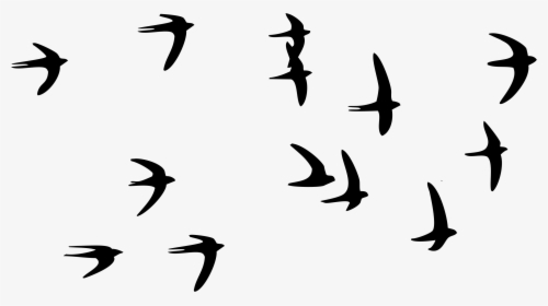 Swallow Bird Paper Tattoo Flock - Birds In The Sky Png, Transparent Png, Free Download