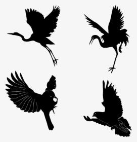 Silhouette,monochrome Photography,bird - Bird, HD Png Download, Free Download