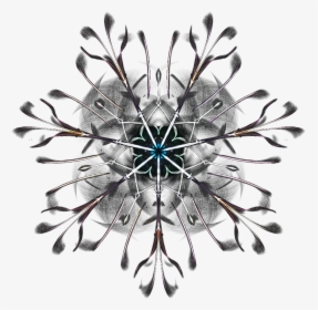 Snowflake, Fantasy, Ornament, Creative, Ice Crystals - Chandelier, HD Png Download, Free Download
