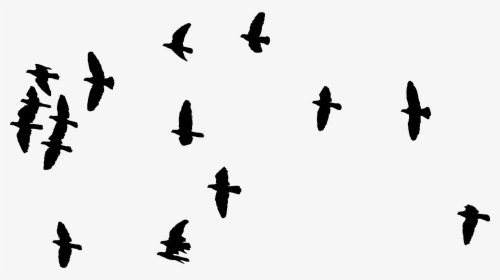 Flock Of Flying Birds Silhouette - Flock Of Birds Transparent, HD Png Download, Free Download