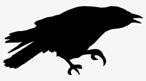 Chattering Bird Silhouette - Outline Flying Raven Silhouette, HD Png Download, Free Download