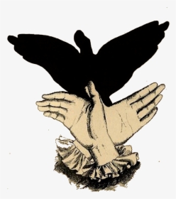 Hand Shadow Puppet Bird, HD Png Download, Free Download