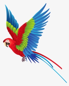Colourful Parrot Png Clipart, Transparent Png, Free Download