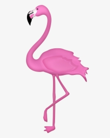 Flamingo Bird Transparent Image - Clipart Transparent Background Flamingo, HD Png Download, Free Download