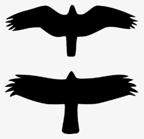 Birds, Silhouette, Black, Flying, Wildlife, Wings - Top View Of Bird Flying, HD Png Download, Free Download