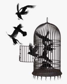Cage Bird Png - Bird In A Cage Png, Transparent Png, Free Download