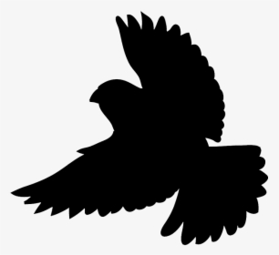 Silhouette Of Flying Bird - Robin Bird Silhouette Flying, HD Png Download, Free Download