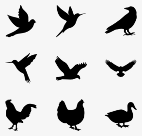 Birds Silhouette - Bird Vector Png, Transparent Png, Free Download
