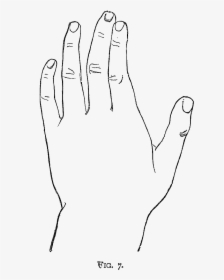 Hand Black And White Two Hands Black And White Clipart - Sketch, HD Png Download, Free Download