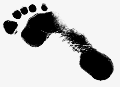 Footprints Simple Transparentpng Download - Foot Print Logo Png, Png Download, Free Download