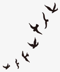 Mountain Bluebird Tattoo Sparrow Cygnini - Small Birds Black Png, Transparent Png, Free Download