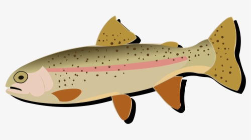Salmon Cutthroat Trout Rainbow Trout Fish - Rainbow Trout, HD Png Download, Free Download