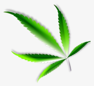 Weed Leaf Png - Marijuana Png, Transparent Png, Free Download