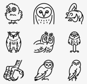 Owl - School Doodle Png, Transparent Png, Free Download