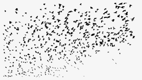 Birds Silhouette Png - Flock Of Birds Silhouette Png, Transparent Png, Free Download