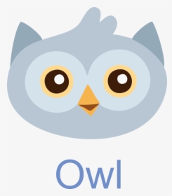 Owl Face Free Image Icon For Print Use, HD Png Download, Free Download
