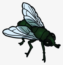 Free Clipart Of A Fly - Fly Clipart Black And White, HD Png Download, Free Download