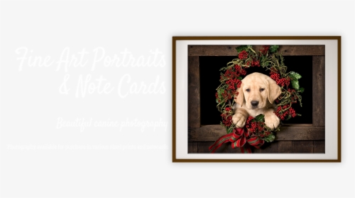 Home - Cocker Spaniel, HD Png Download, Free Download
