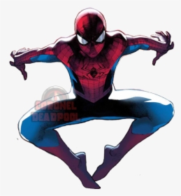 The Amazing Spider-man - Olivier Coipel Spider Man, HD Png Download, Free Download