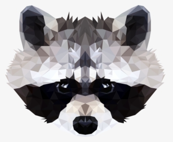 Raccoon Face Png, Transparent Png, Free Download