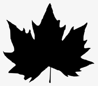 15 Leaf Silhouette - Fall Leaf Silhouette Png, Transparent Png, Free Download