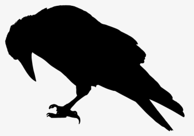 Raven Clip Art, HD Png Download, Free Download