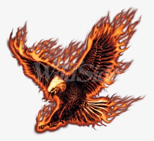 Transparent Eagle - Eagle Fire No Background, HD Png Download, Free Download