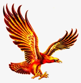 Logo Gold Eagle Png, Transparent Png, Free Download