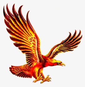 Eagle Logo Png Images Free Transparent Eagle Logo Download Page 2 Kindpng