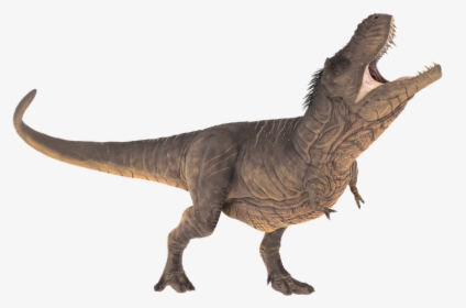 Velociraptor Transparent Outline - T Rex Transparent, HD Png Download, Free Download
