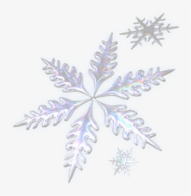 Snowing Photo - Real Snowflake With Transparent Background, HD Png Download, Free Download