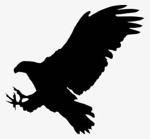Eagle 9 Silhouette Icons Png - Bird Of Prey Clipart, Transparent Png, Free Download
