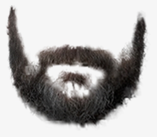 Beard Transparent Background, HD Png Download, Free Download