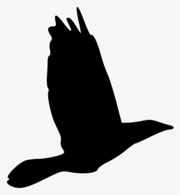 Black And White Bird Drawings - Dessin Oiseaux En Vol, HD Png Download, Free Download
