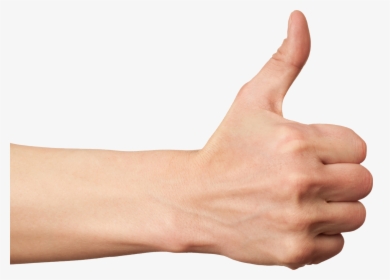 Thumbs Up White Supremacy - Hand Gestures Thumbs Up, HD Png Download, Free Download