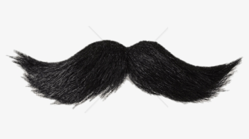 French Mustache Png - Transparent Background Mustache Png, Png Download, Free Download