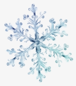 Snowflake Png Download - Transparent Background Snowflake Png, Png Download, Free Download