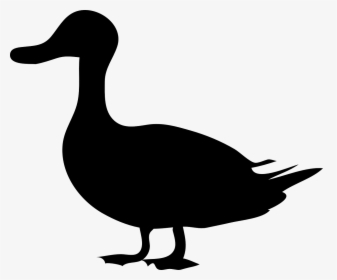 Duck Silhouette, HD Png Download, Free Download