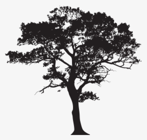 tree clipart png black and white frames