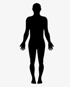 Standing Human Body Silhouette Svg Png Icon Free Download - Human Body Silhouette Png, Transparent Png, Free Download