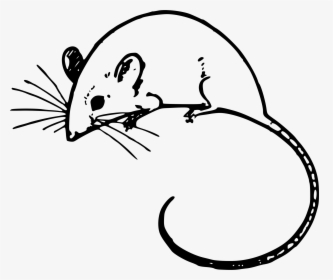 Mice Svg - Mouse Clipart Black And White, HD Png Download, Free Download