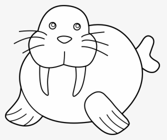 Best Walrus Clipart - Seal Clipart Black And White, HD Png Download, Free Download