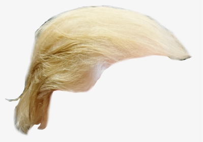 Download Trump Png Hair Picture For Free - Trump Wig Png, Transparent Png, Free Download