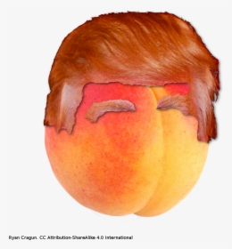 Donald Trump As A Peach, HD Png Download, Free Download