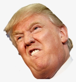 United Politician Trump Youtube States Donald Crippled - Donald Trump Head Clear Background, HD Png Download, Free Download
