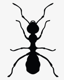 Ants In Minnesota Homes And Offices - Pest Control Png Logos, Transparent Png, Free Download