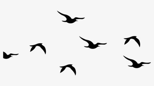 Bird Flock Png - Silhouette Birds Clipart Black And White, Transparent Png, Free Download