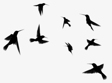 Clip Art Birds Google Search Beauty - Flying Birds Clipart Black And White, HD Png Download, Free Download