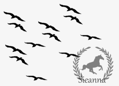 Silhouette Bird Flying 2 Clipart - Flying Birds Clipart Black And White, HD Png Download, Free Download